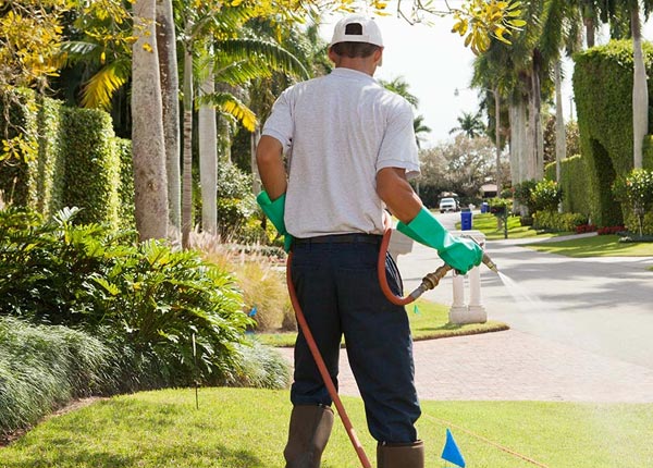 About West Hartford CT Pest Control